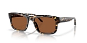 Lunettes de soleil Costa Shipwrecks M (54-18) avec Cuivre verre et Écaille de tortue monture - Lien de variante