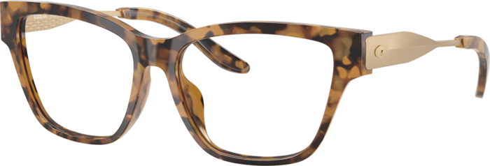 06A2012__201202__P21__noshad__