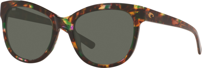 Costa Bimini M (55-19) with Gray lenses and Shiny Abalone 