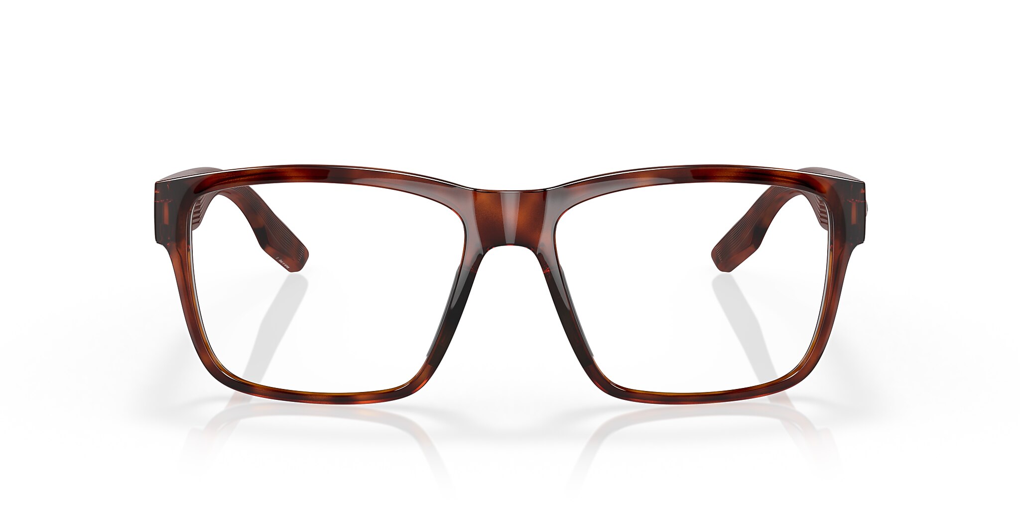 Costa Paunch RX XL (57-16) with Demo Lens lenses and Tortoise