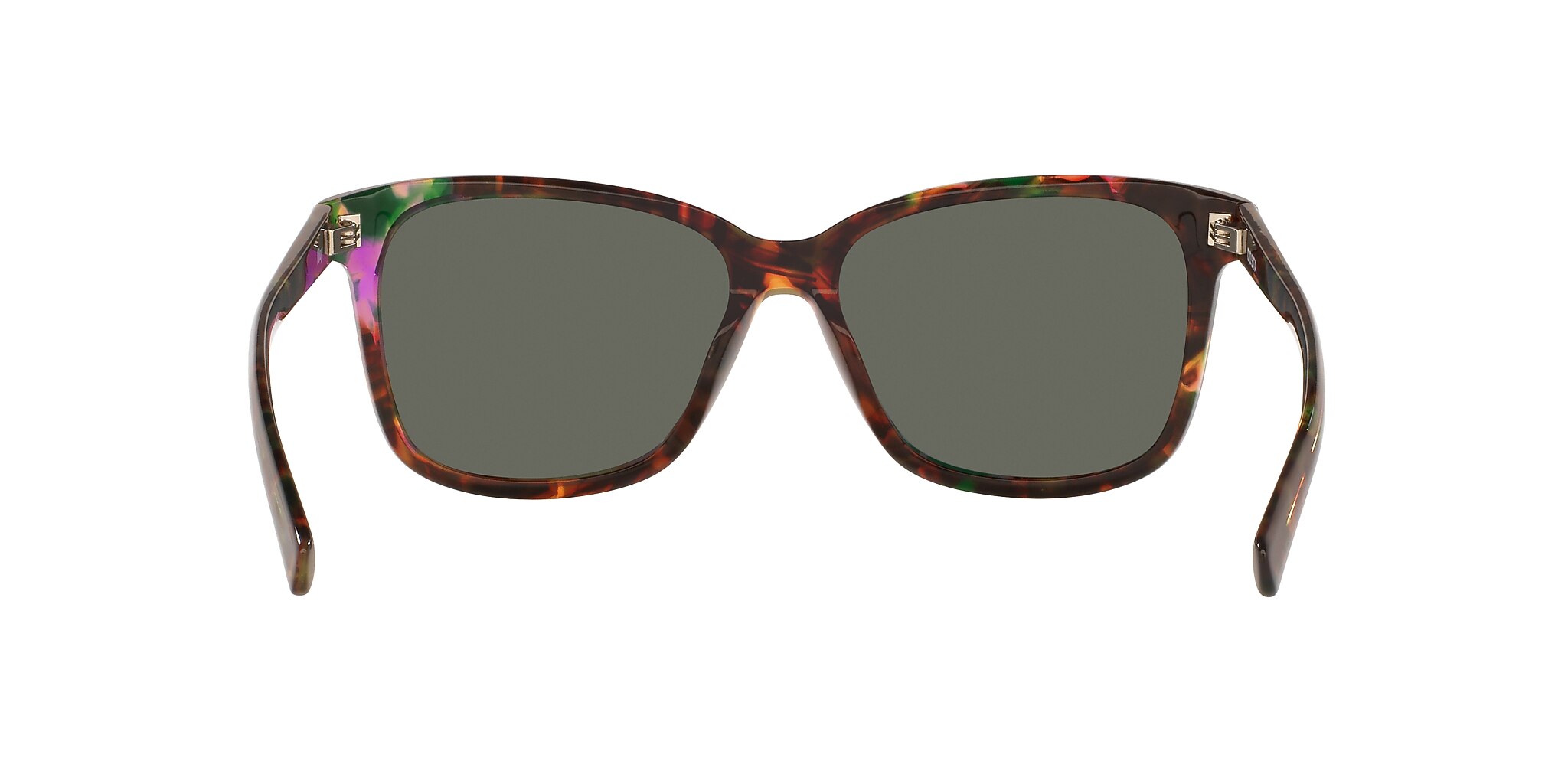 Costa May M (57-15) with Gray lenses and Shiny Abalone frame
